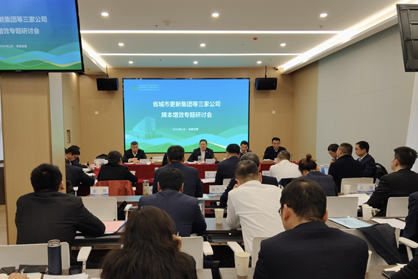 聚力攻坚降成本 深化改革增效益——赏金女王模拟器集团等三家公司召开降本增效专题研讨会
